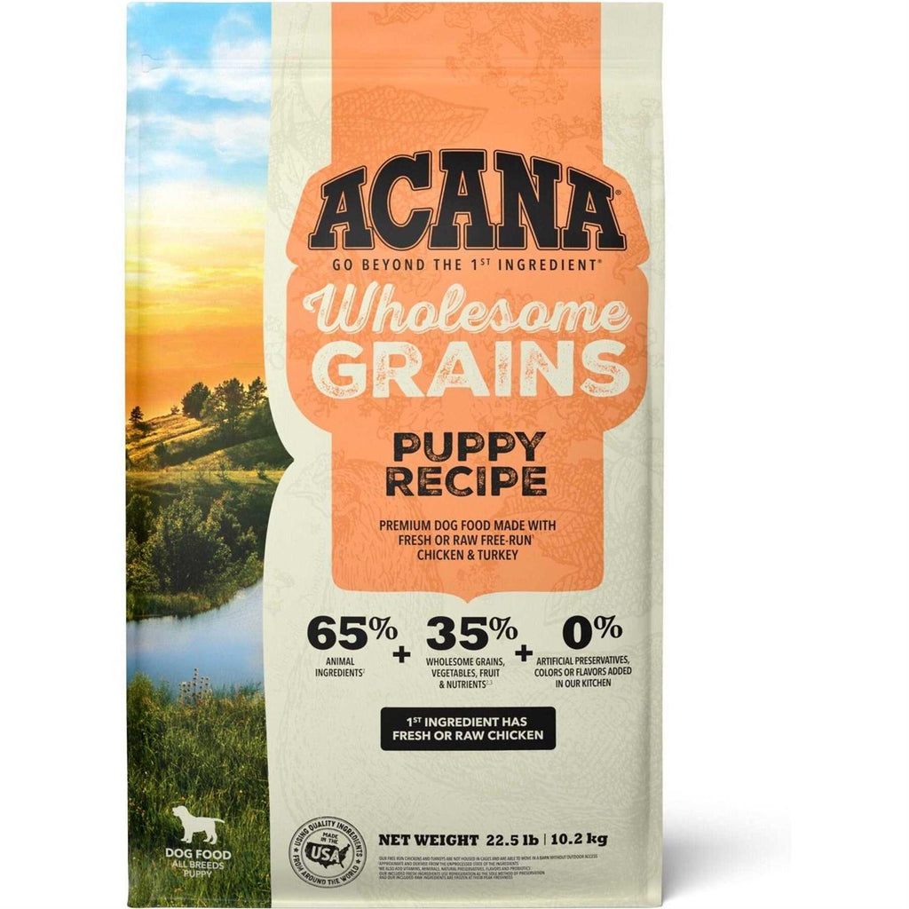 Dry Dog Food Y80864