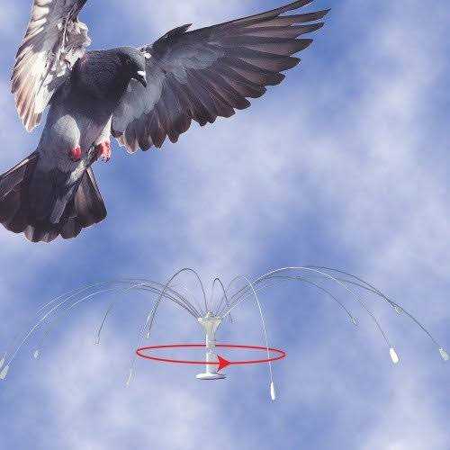 Bird Spider 360 Stainless Steel Z339