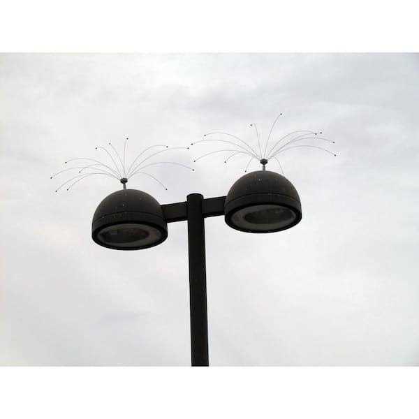 Bird Spider 360 Stainless Steel Z339