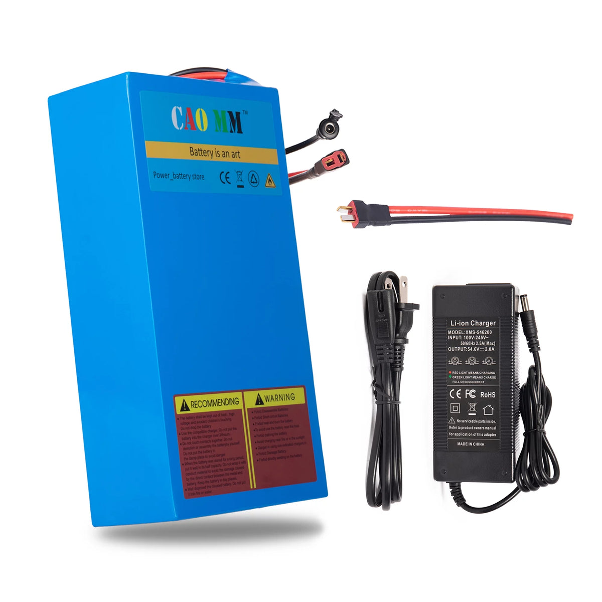 48V 20Ah Lithium Ebike Battery with Charger D831