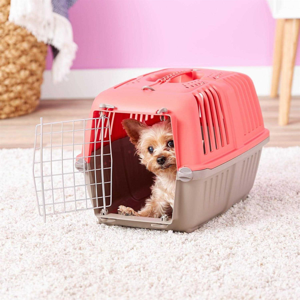 Plastic Pet Carrier O616