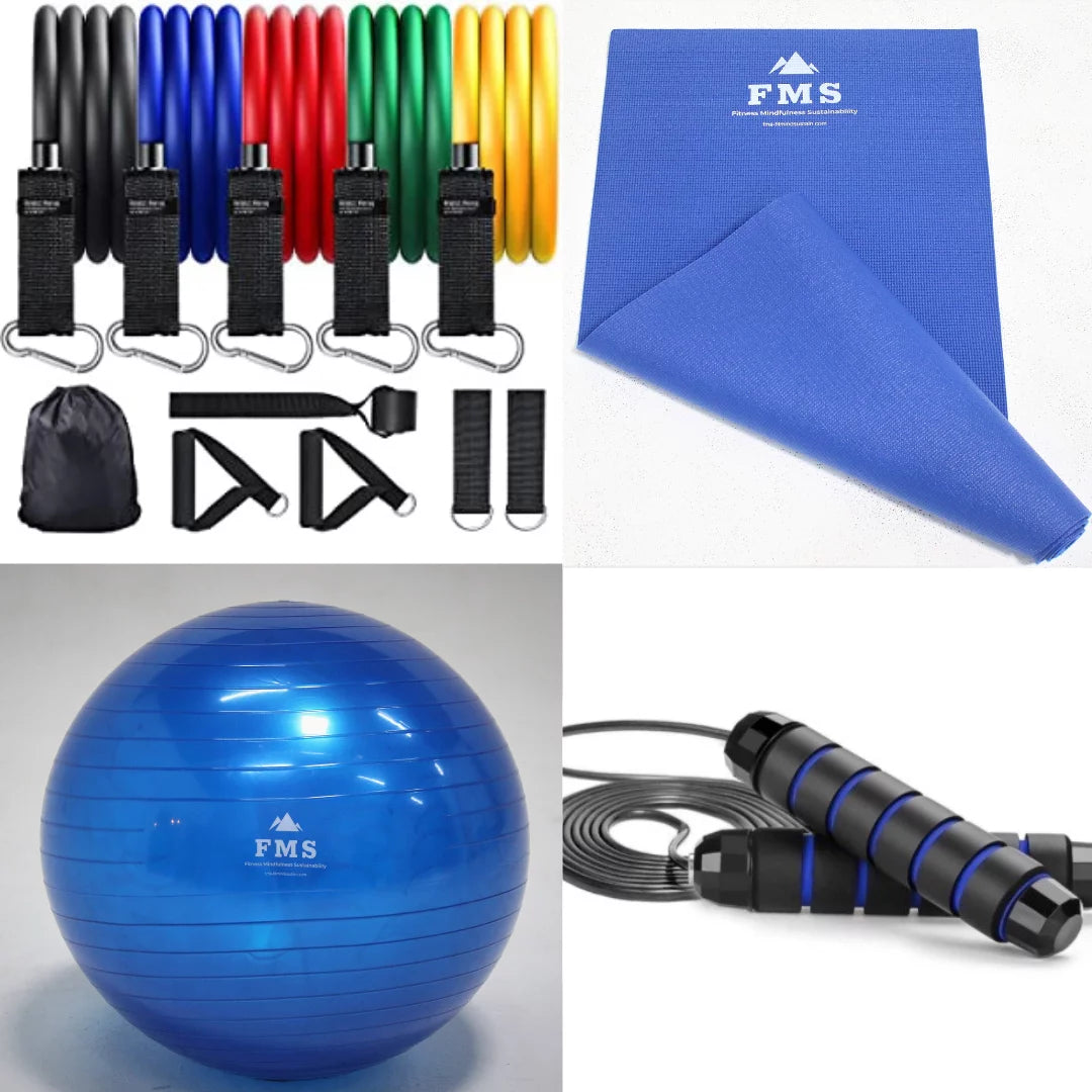 Portable Home Gym Set with 11pc Resistance Band Set, Stability Ball, Exercise Mat Q1919