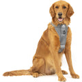 Dog Harness D8216
