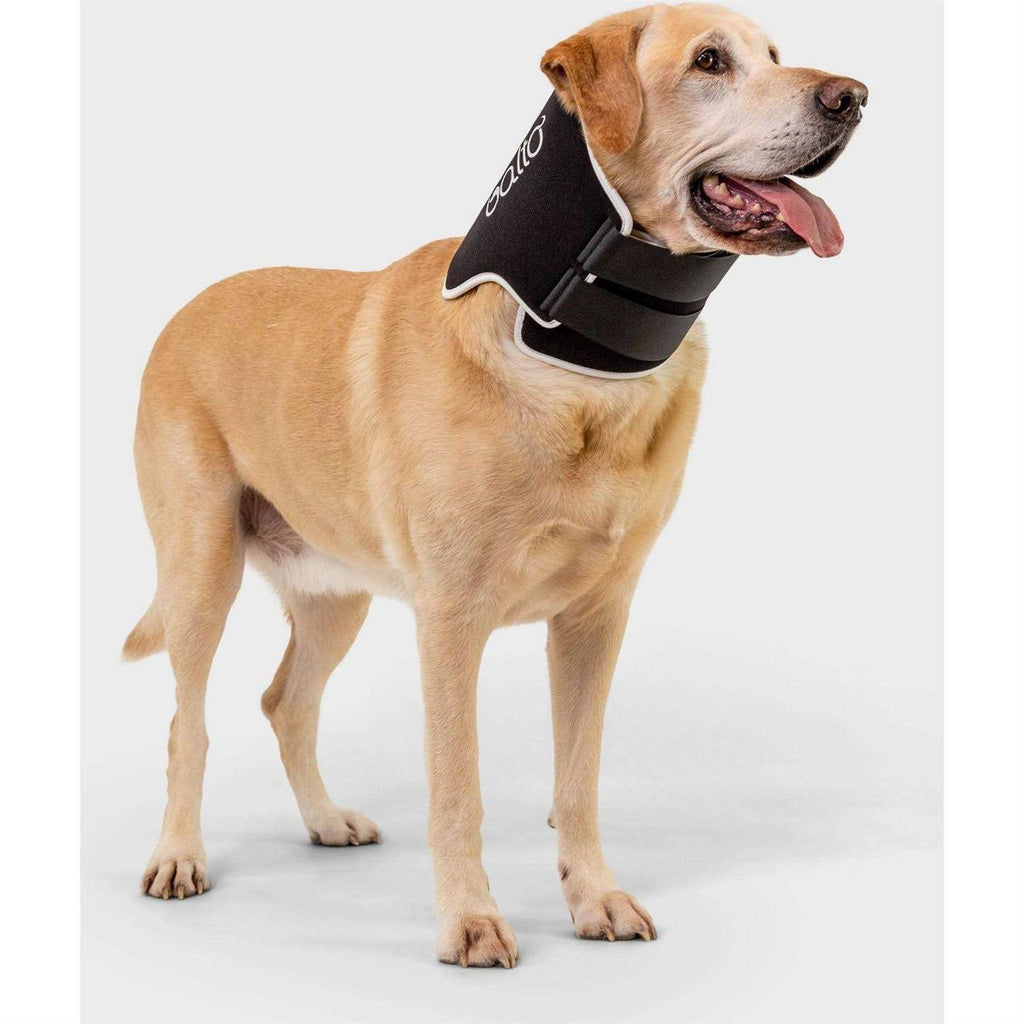 Dog Cone Alternative E-Collar E2519