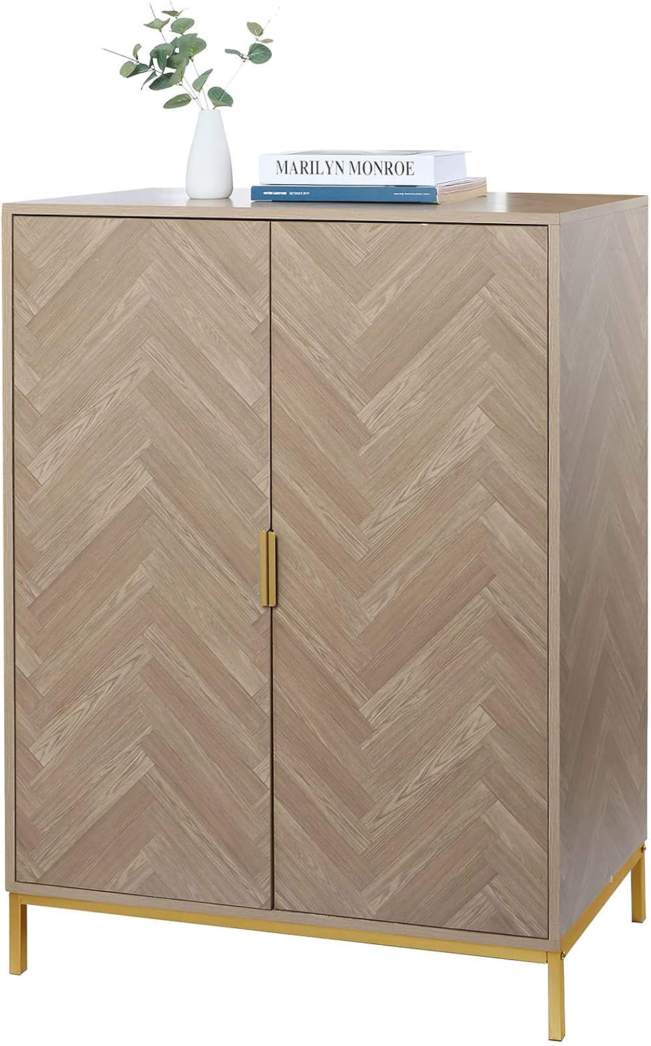 2 Doors Storage Cabinet with Golden Legs R62018