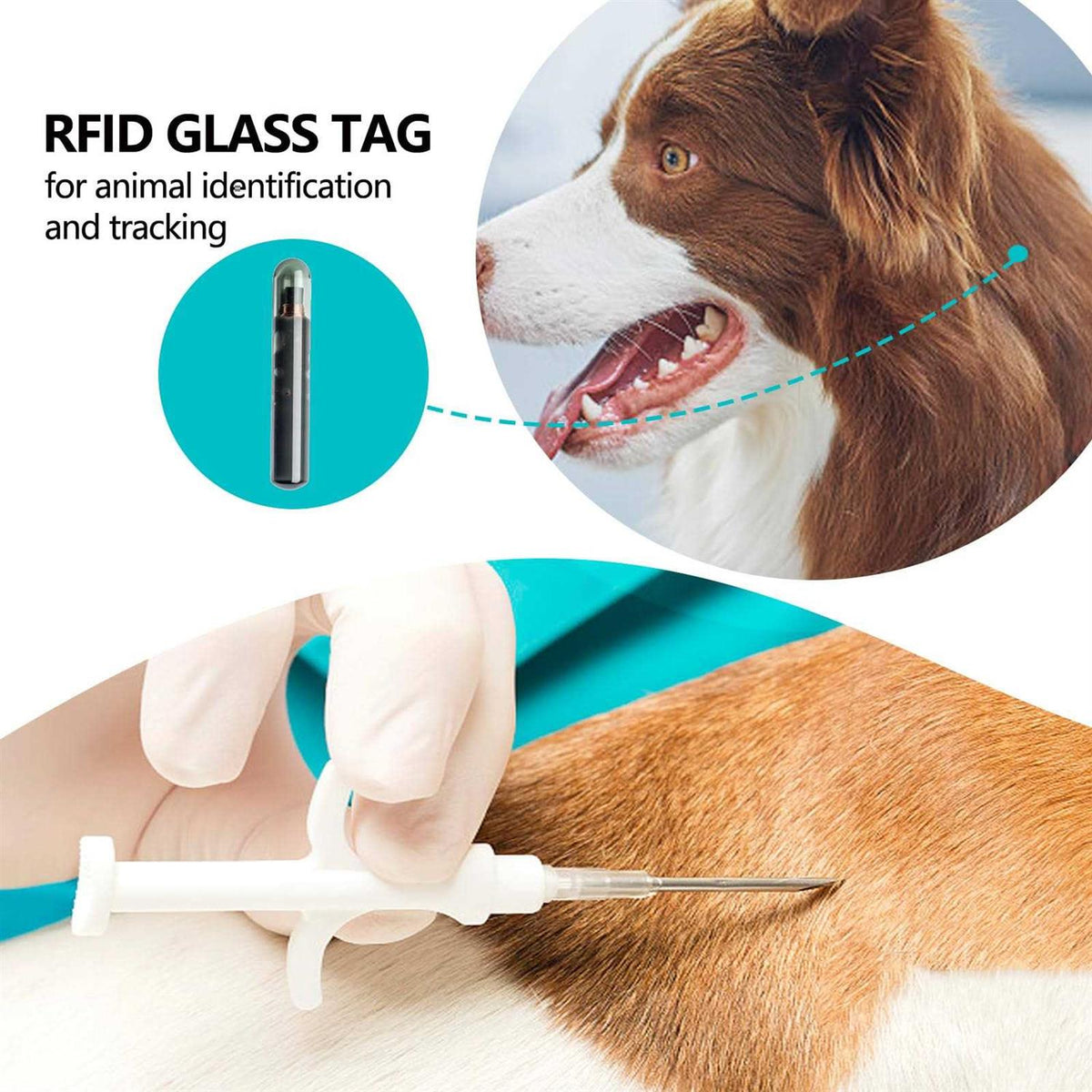 Iso Pet Id Microchip Tags 134.2Khz Fdx-B 8 Mm 20 Pack J607