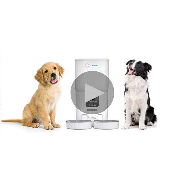 Automatic Dual Pet Feeder with 1080P HD Camera S635