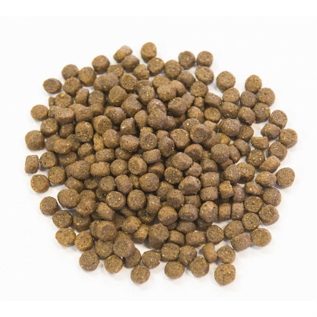 Chicken Meal with Ancient Grains Dog Food X8936