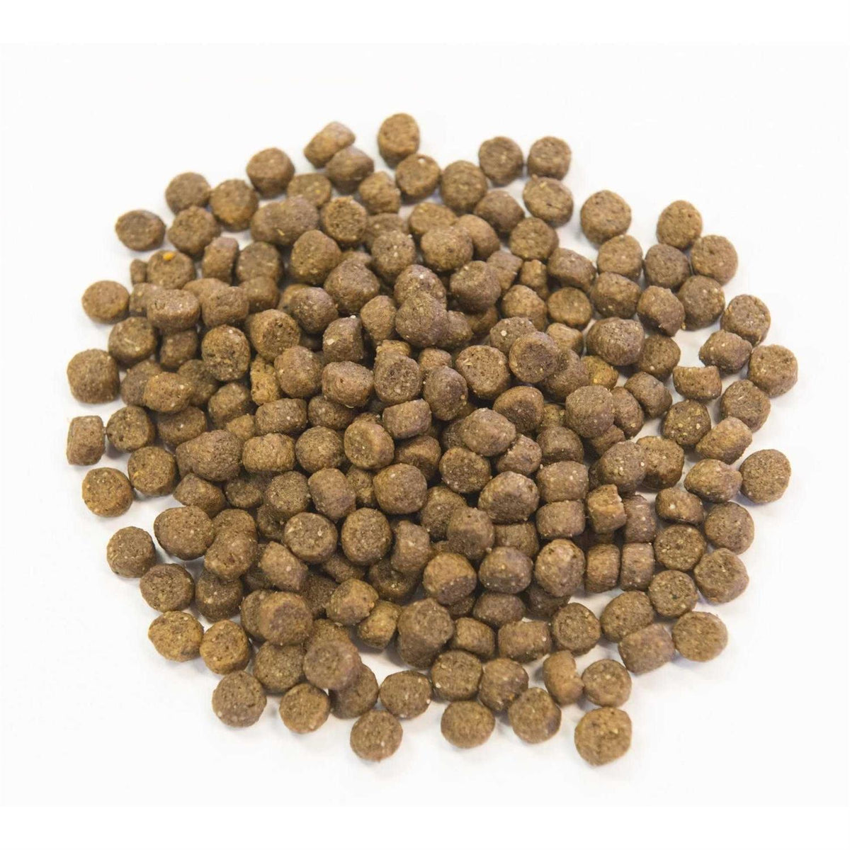 Chicken Meal with Ancient Grains Dog Food X8936