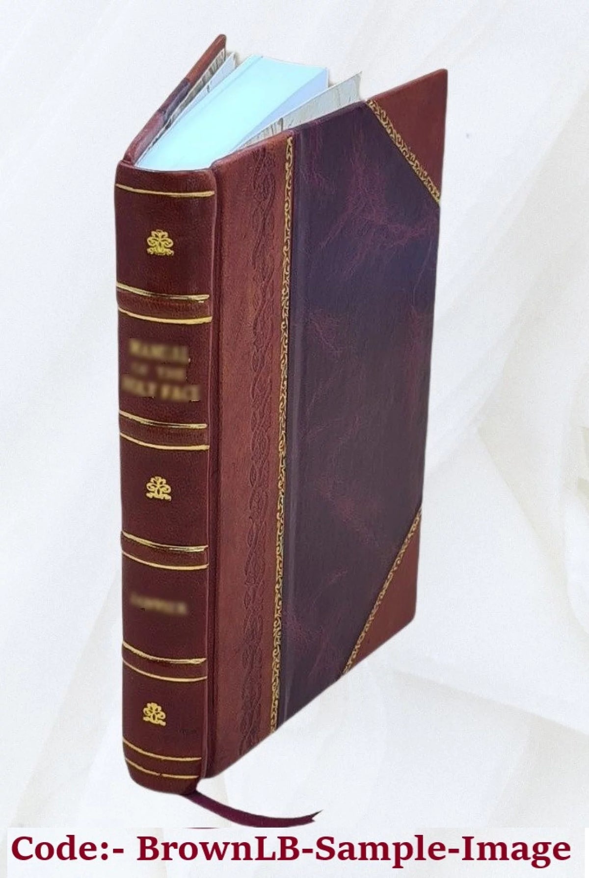 Leather Bound Y6149