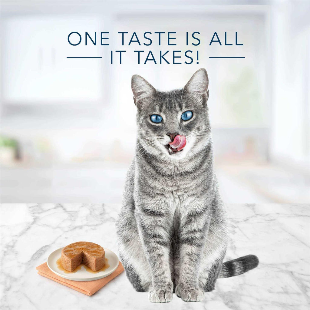 Chicken Salmon & Tuna Wet Cat Food Variety Pack G9493