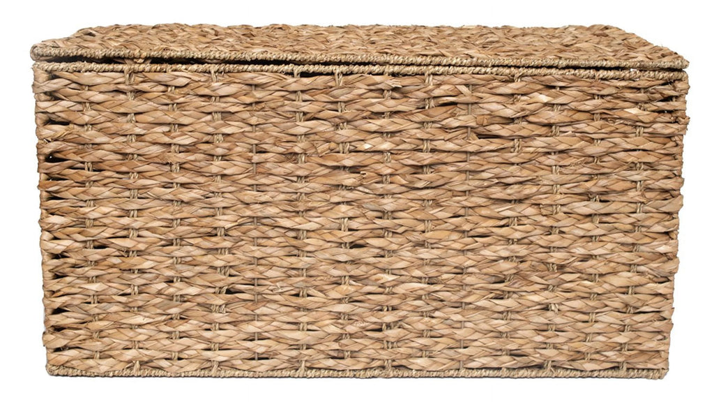 Large Storage Trunk X531170