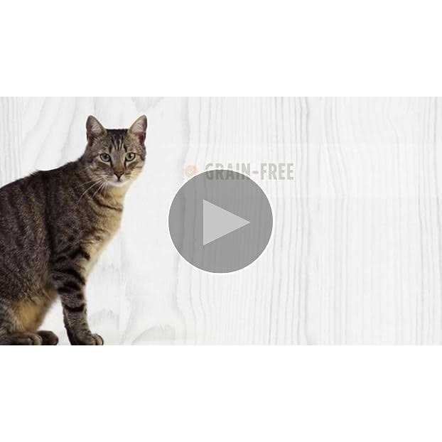 Variety Pack Canned Cat Food U300