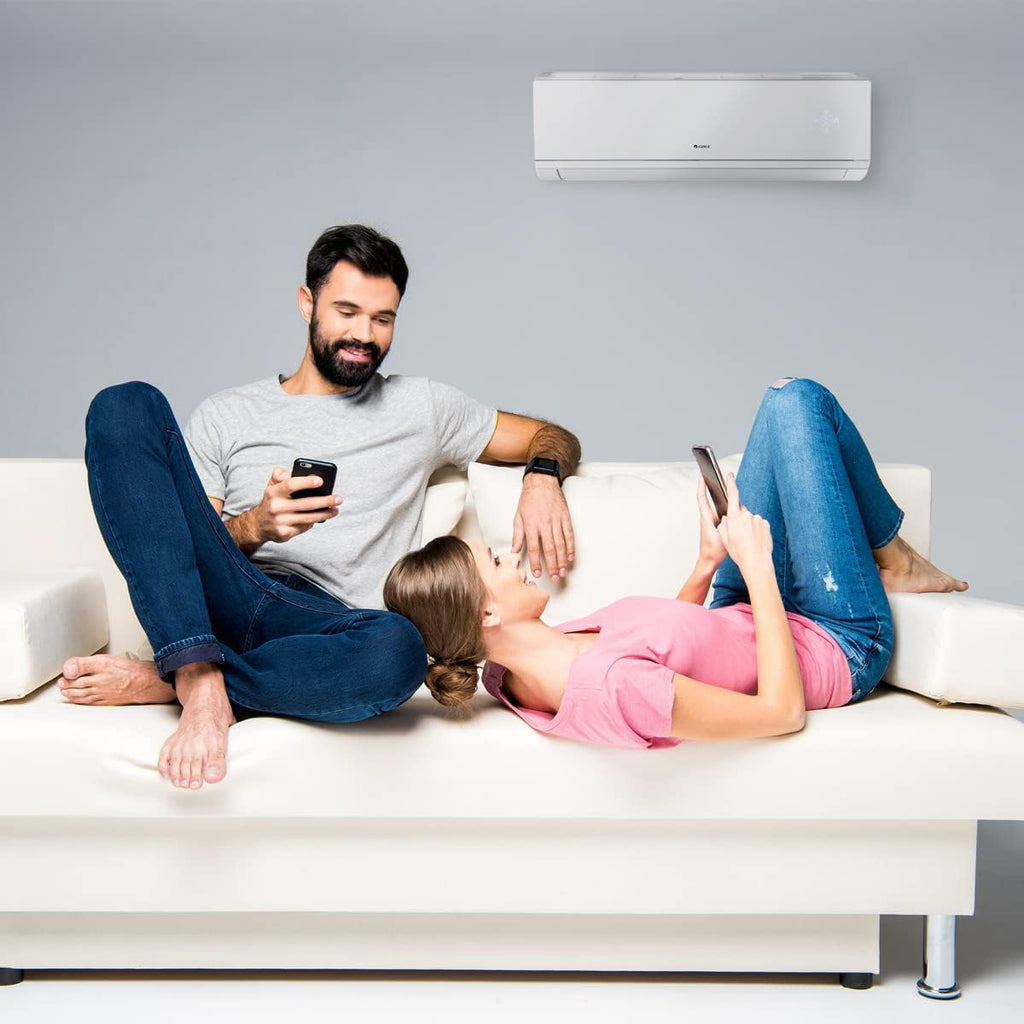 30,000 BTU Dual-Zone Mini Split Air Conditioner Heat Pump X74312