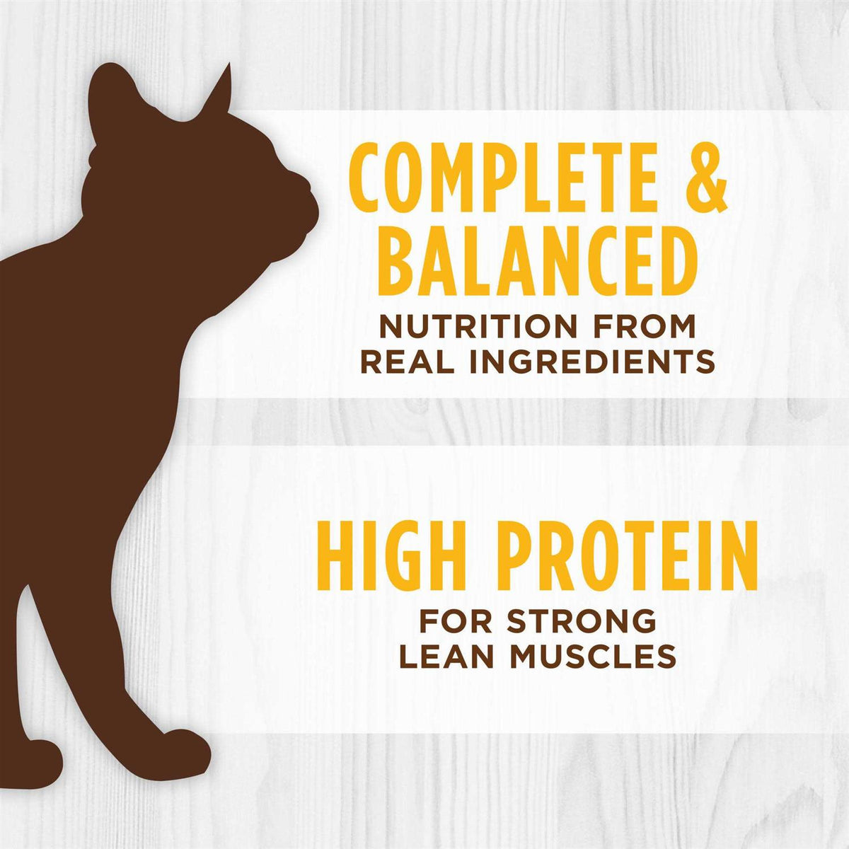 Grain Free Real Chicken Recipe Wet Canned Cat Food B572088