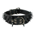 Leather Dog Collar 2 Inch T137883