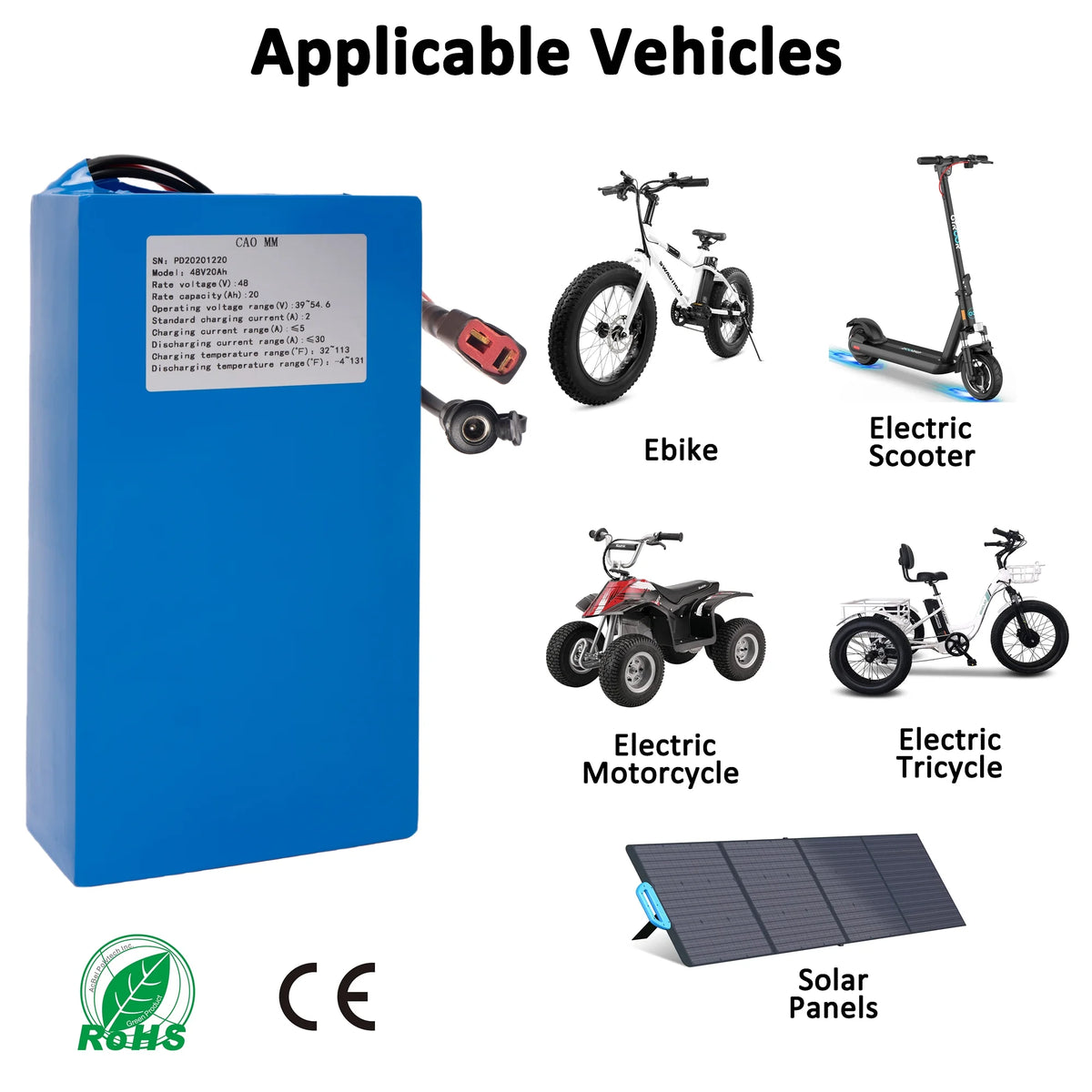 48V 20Ah Lithium Ebike Battery with Charger D831