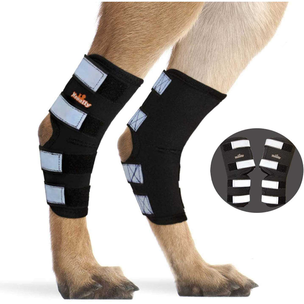 Dog Hind Leg Brace with Reflective Straps R694