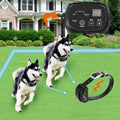 Electric Dog Fence T343