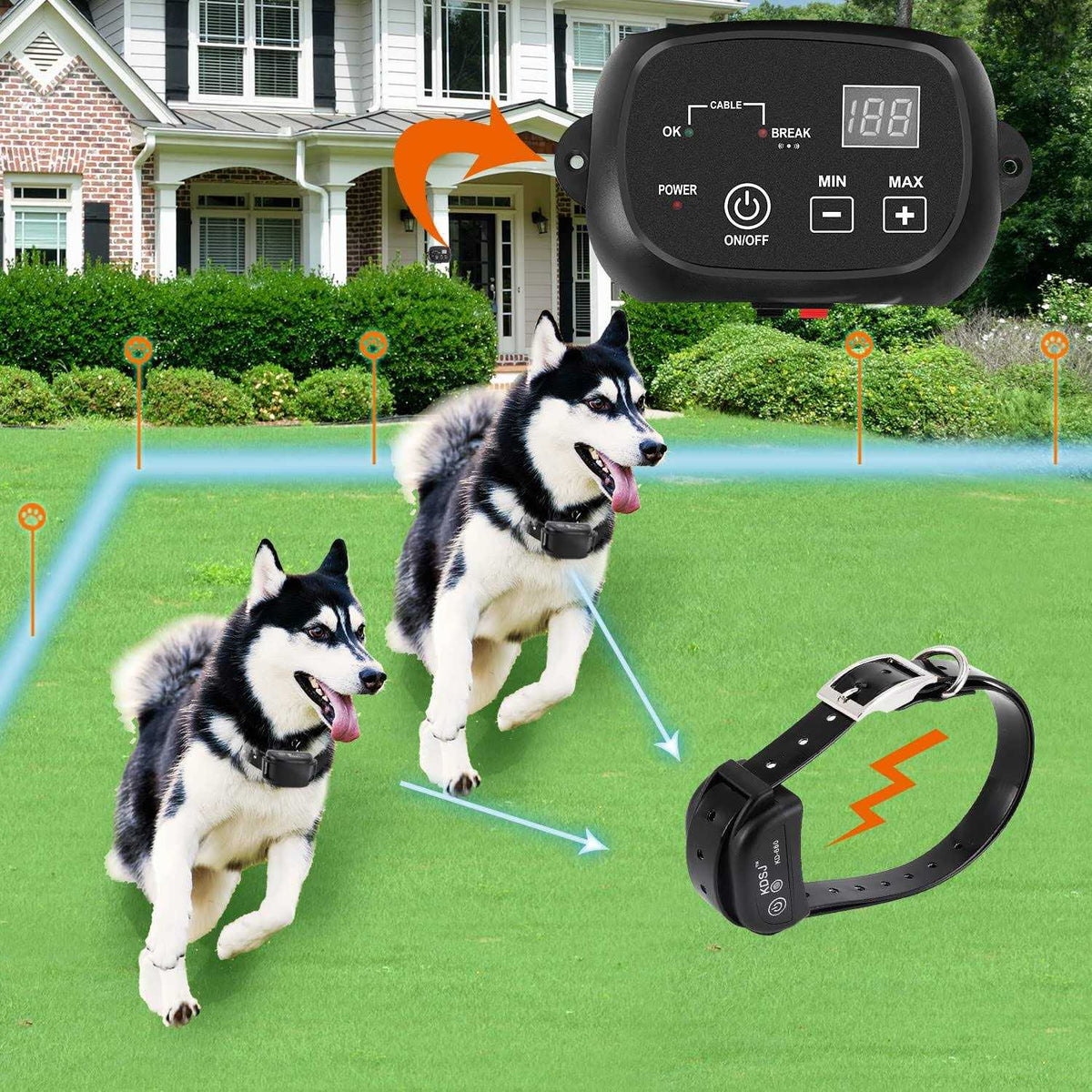 Electric Dog Fence T343
