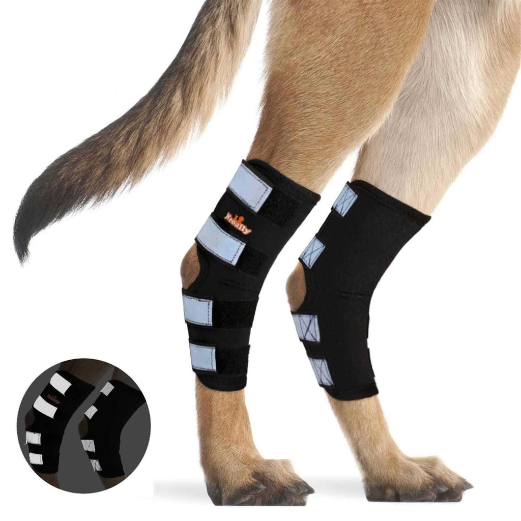 Dog Hind Leg Brace with Reflective Straps R694