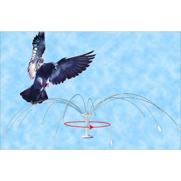 Bird Spider 360 Stainless Steel Z339