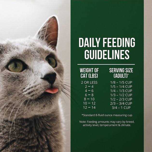 Salmon Chicken Dry Cat Food F9845