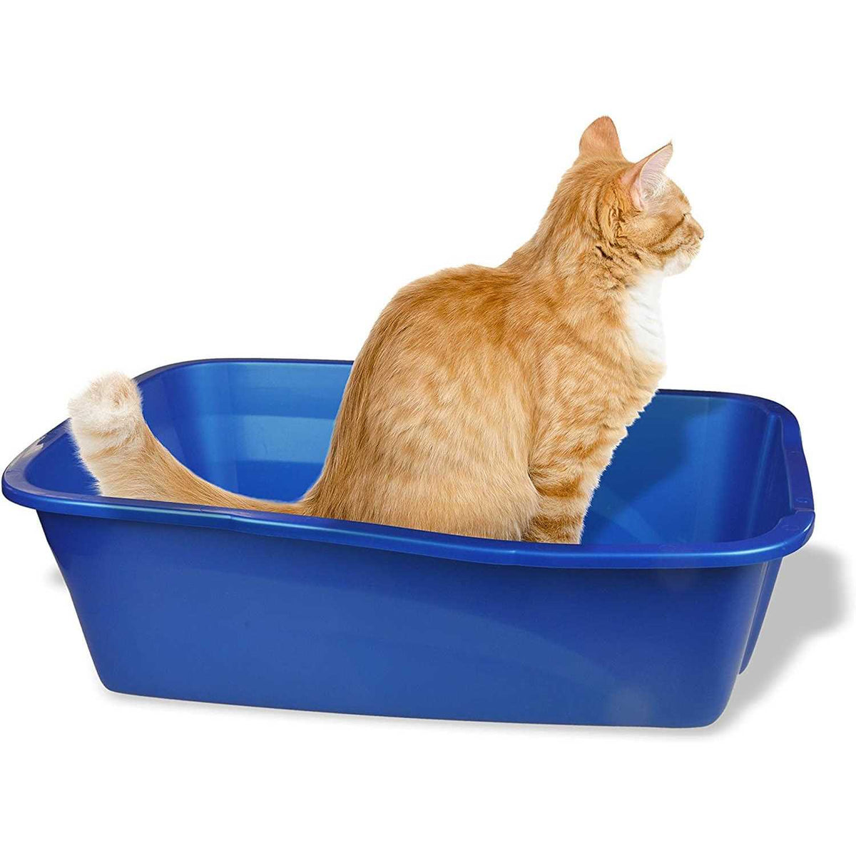 Small Cat Litter Pan U54391