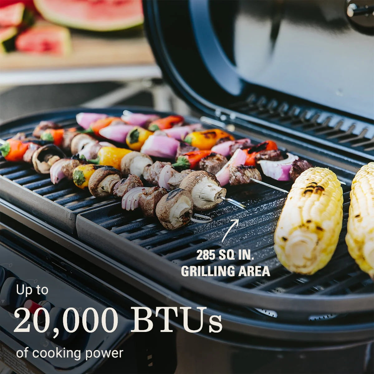 Standup Propane Gas Grill N9225
