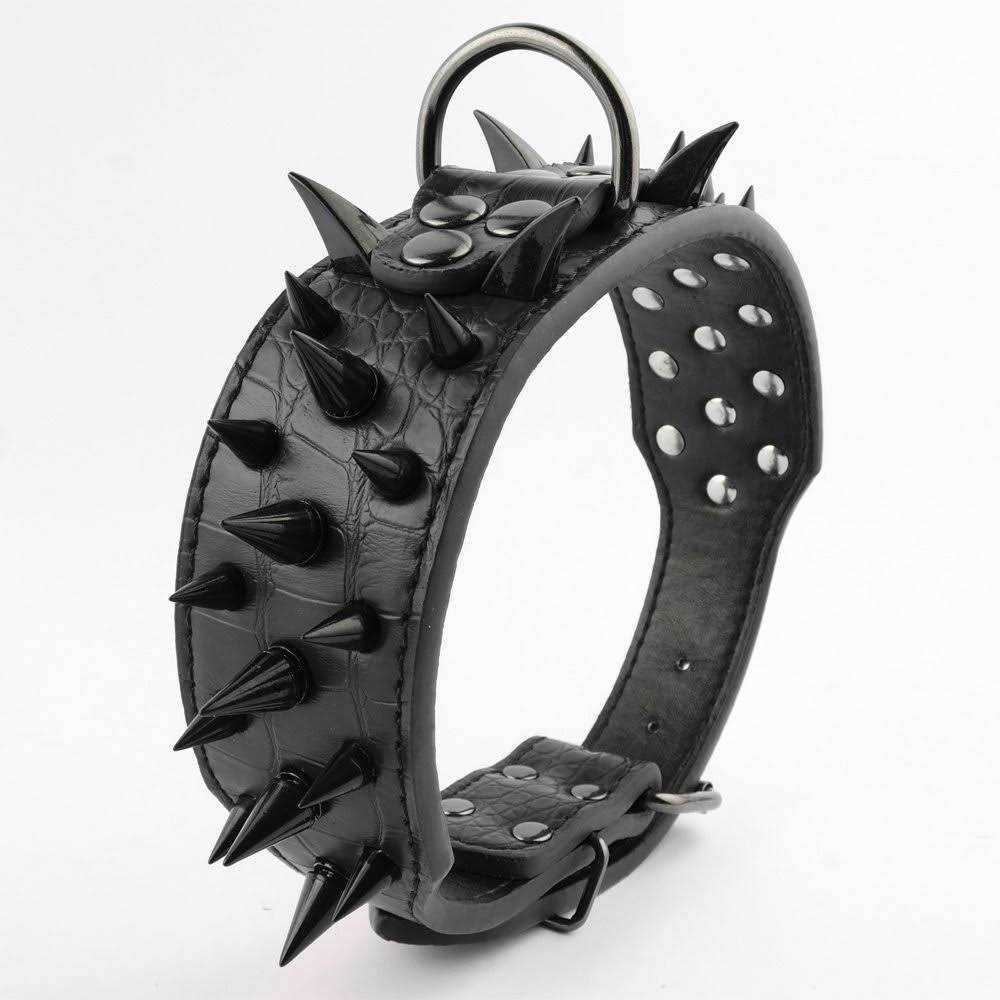 Leather Dog Collar 2 Inch T137883