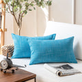 Lake Blue Striped Polyester Blend Throw Pillow, 2 Count T989235