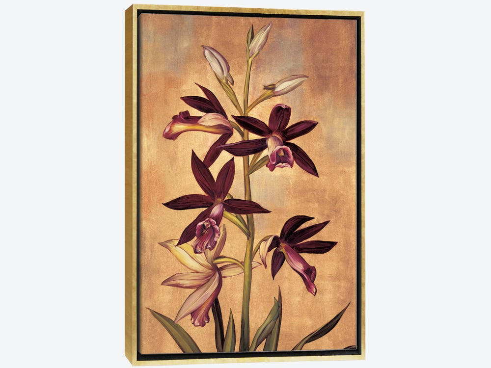 Framed Canvas Art Gold Floating Frame Burgundy Orchid I52642