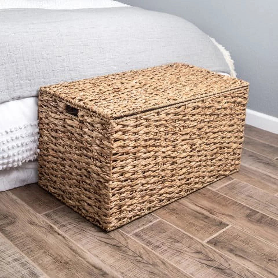 Large Storage Trunk X531170