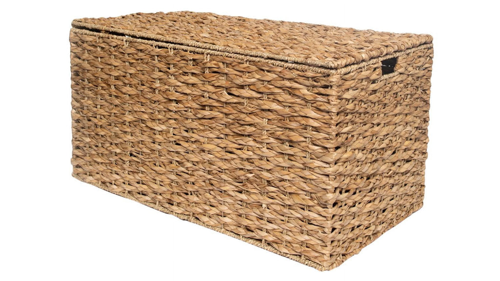 Large Storage Trunk X531170