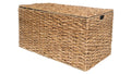 Large Storage Trunk X531170
