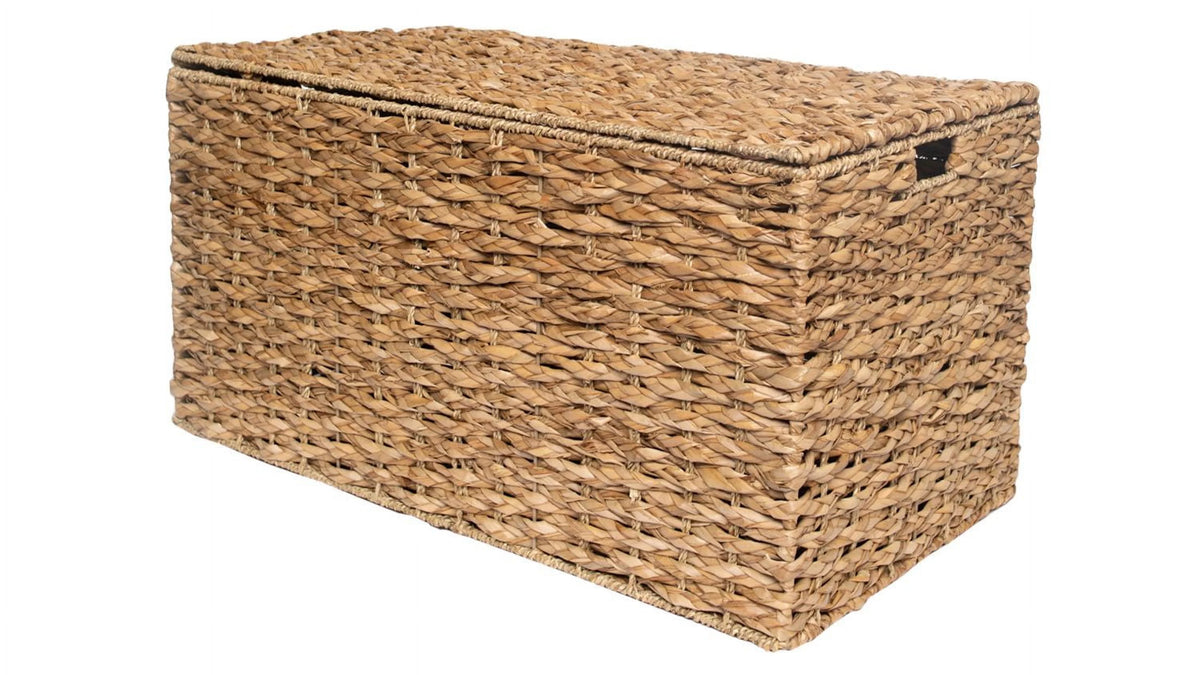 Large Storage Trunk X531170
