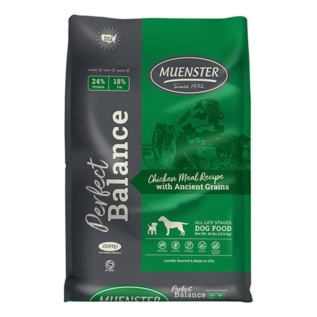Chicken Meal with Ancient Grains Dog Food X8936