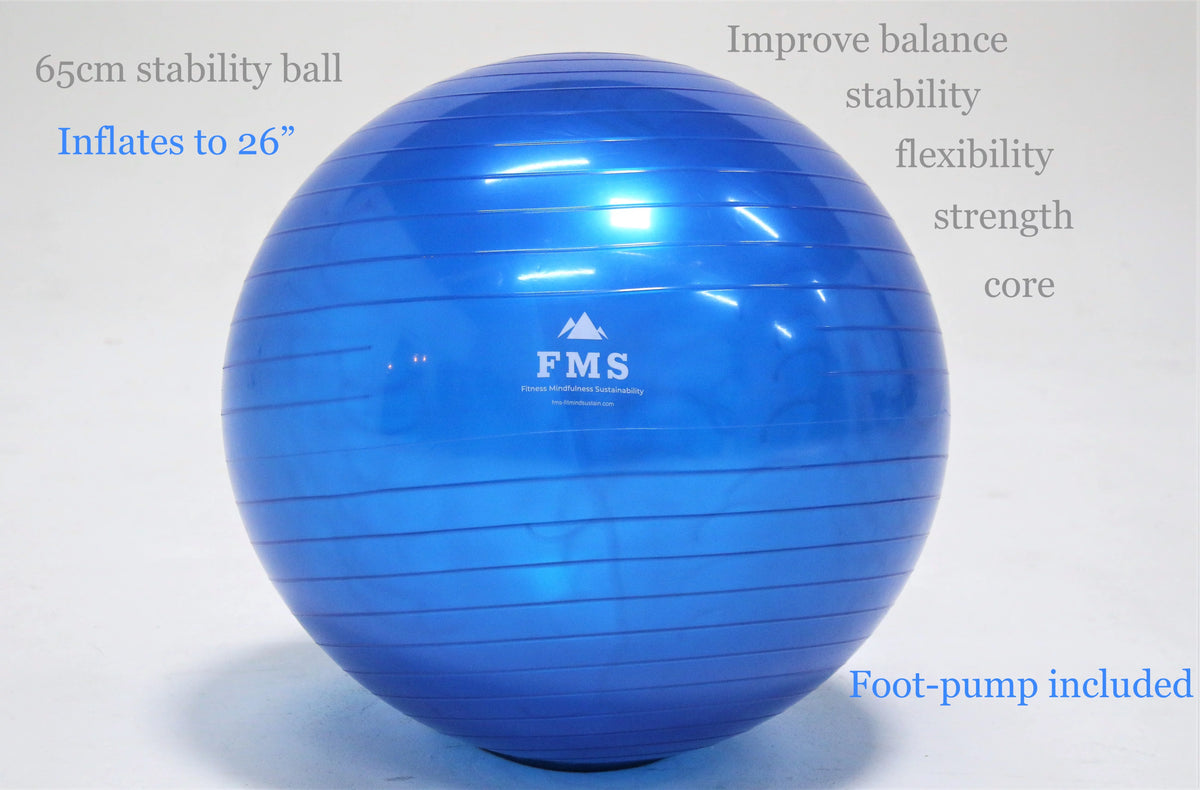 Portable Home Gym Set with 11pc Resistance Band Set, Stability Ball, Exercise Mat Q1919