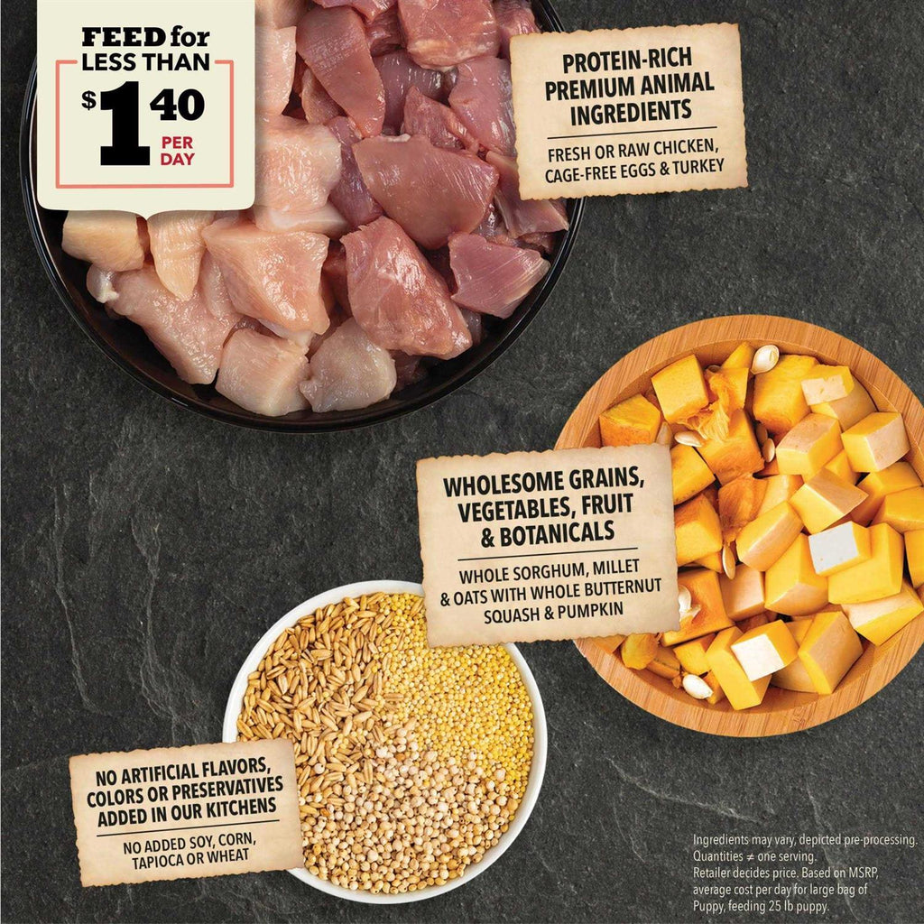 Dry Dog Food Y80864