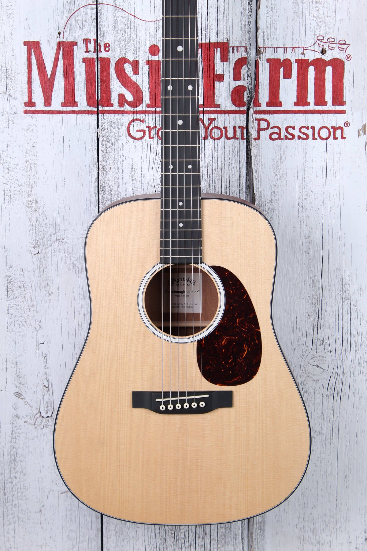 Dreadnought Junior Acoustic Guitar G3142