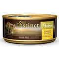 Grain Free Real Chicken Recipe Wet Canned Cat Food B572088