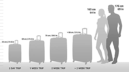 Polycarbonate Hardside 8 Spinner Wheels Luggage B902426