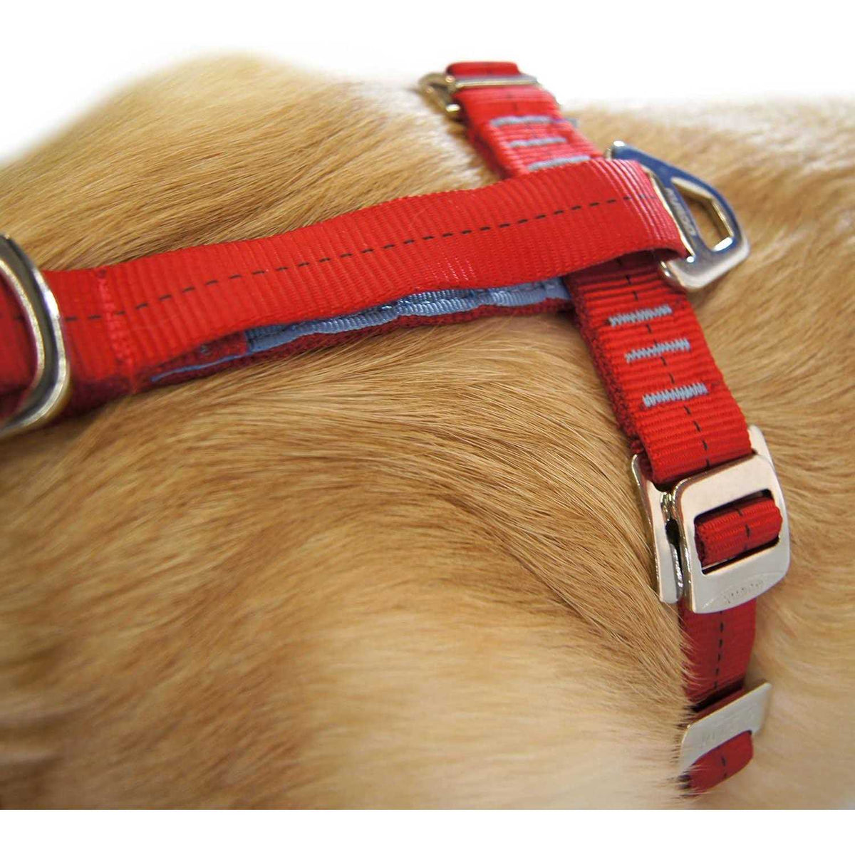 Dog Harness D8216