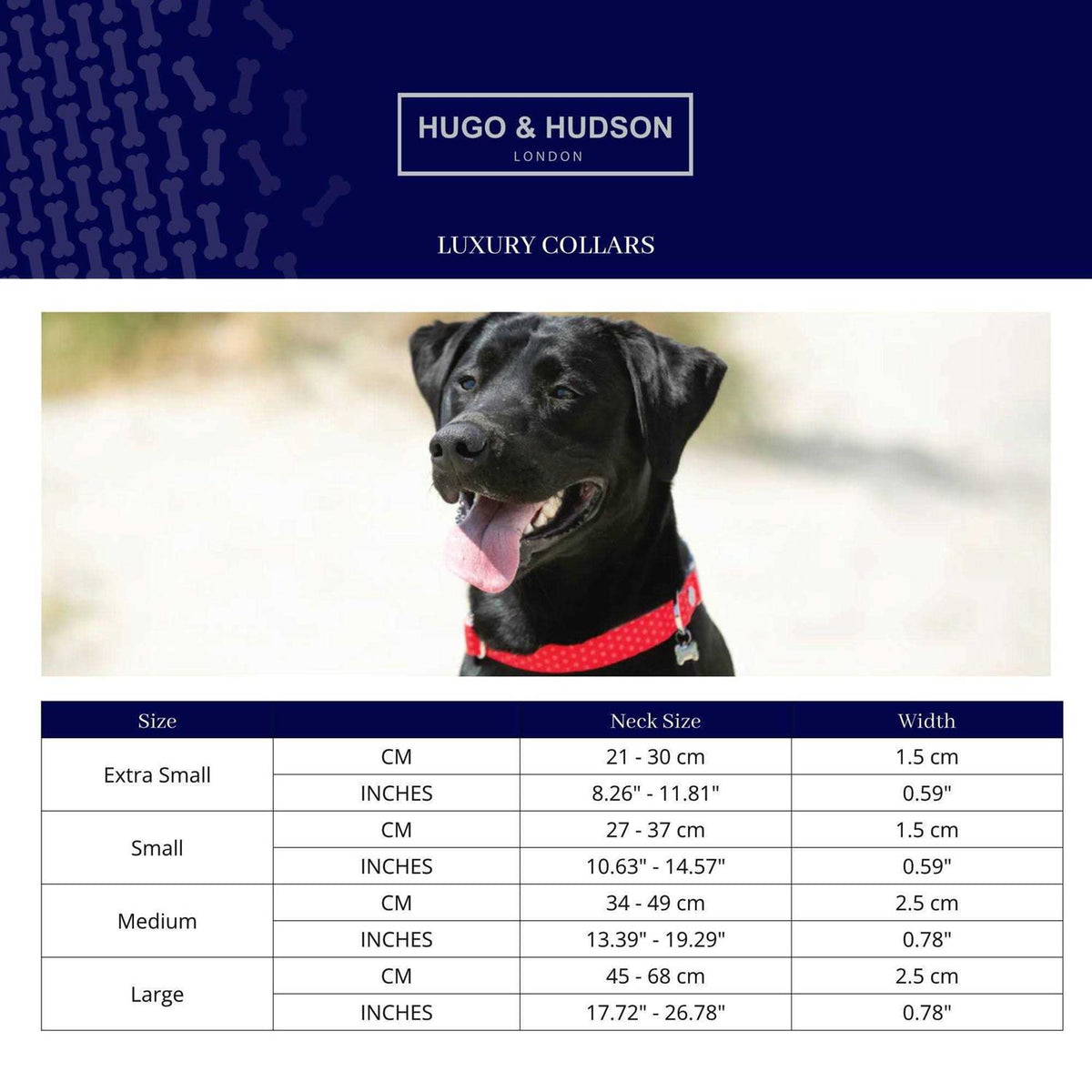 Nylon Dog Collar D475
