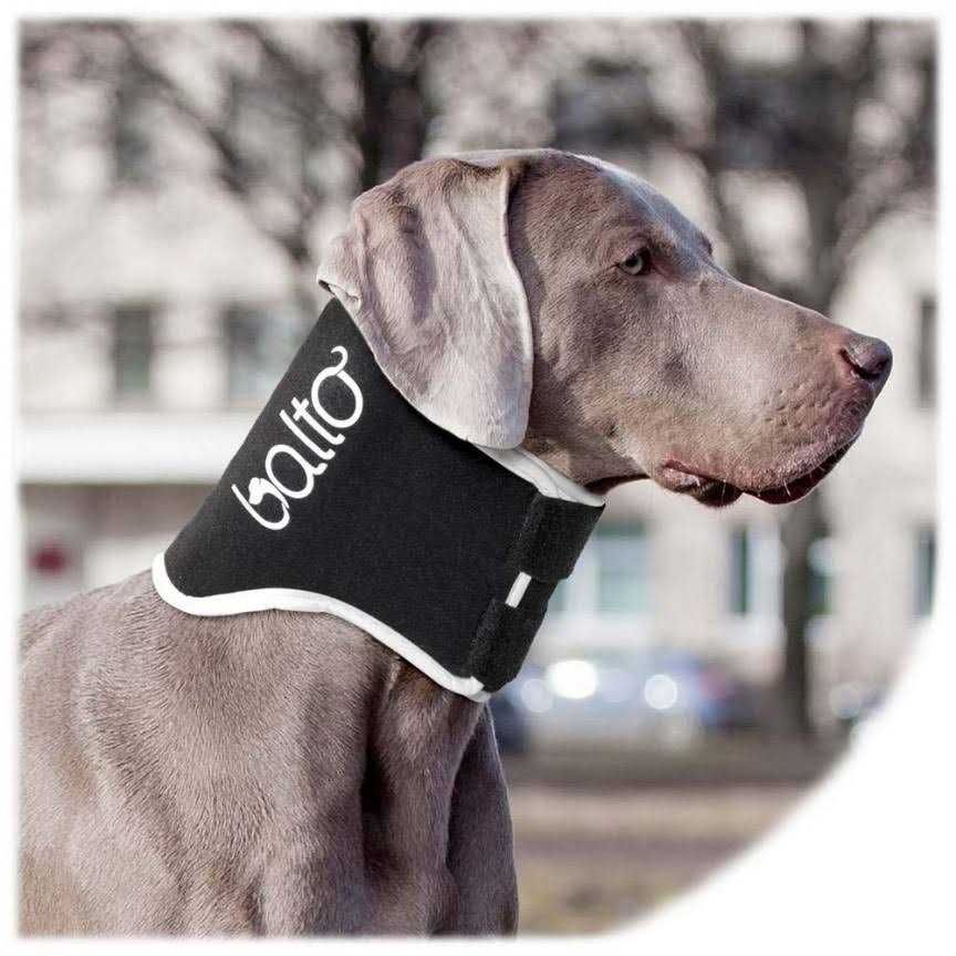 Dog Cone Alternative E-Collar E2519