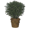 37 Inch Polyblend Taxus Yew - Green Y480