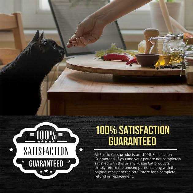 Salmon Chicken Dry Cat Food F9845