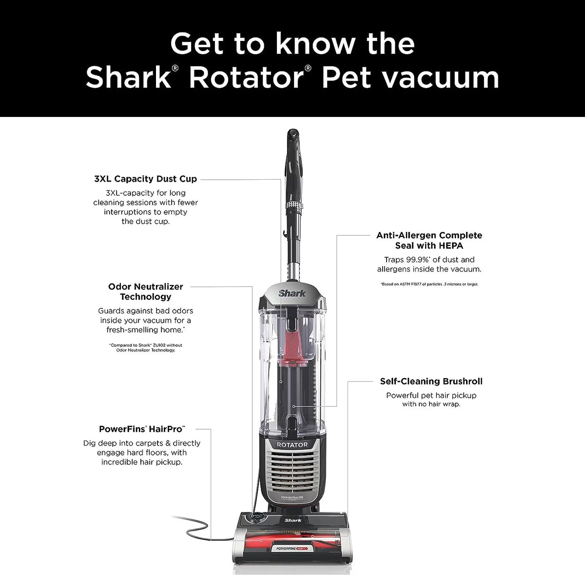 Charcoal Upright Vacuum with 2.9 L Dust Cup D35409