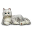Companion Pet Cat I59630