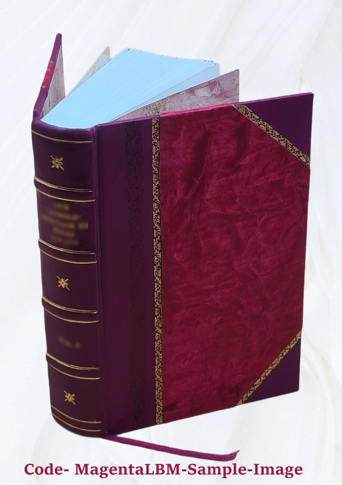 Obstetrical Practice Leather Bound B25977